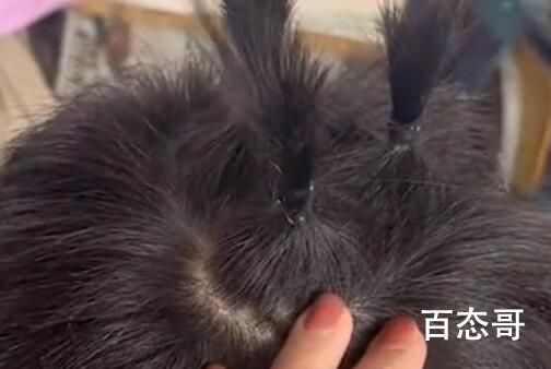 小学生继盘串后又流行起盘头 天真的年纪做些有趣的事挺好