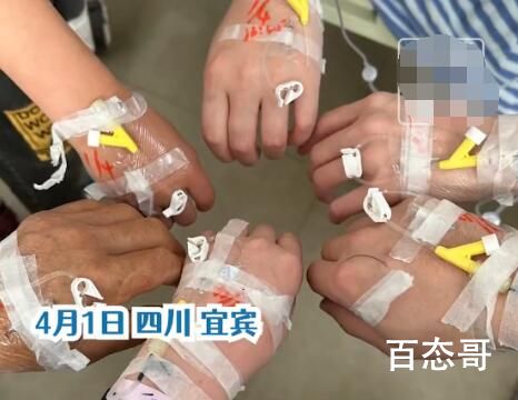 一家六口扫墓后误采毒草食用中毒 饭店老板惊得一身冷汗这要吃死了怕是脱不了关系