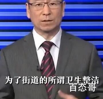 白岩松评农村房前屋后禁种蔬菜 现在的大聪明怎么着么多那 