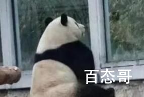 西直门三太子是什么梗 西直门三太子是啥意思