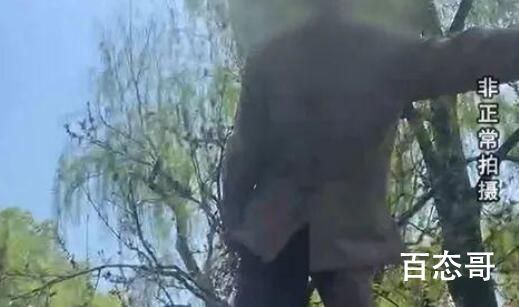 在杭州西湖遭遇划船刺客 背后的真相让人始料未及