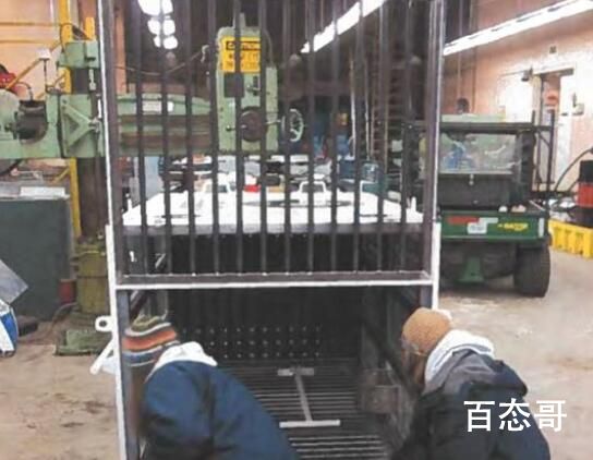 丫丫将由美国联邦快递直接送至上海 丫丫终于长肉肉啦