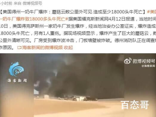 美国奶牛厂爆炸 约1.8万头牛死亡 是甲烷爆炸吗？