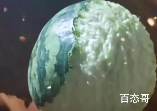 兔子咬西瓜一千多口没吃到瓤 它只是想吃瓜皮 