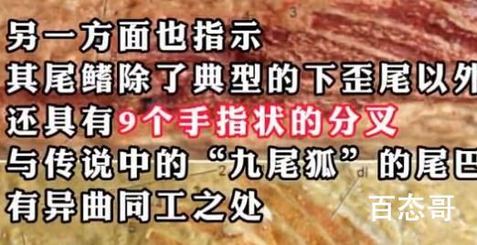 广西发现九尾狐甲鱼化石 九尾就是九尾跟狐有什么关系？ 