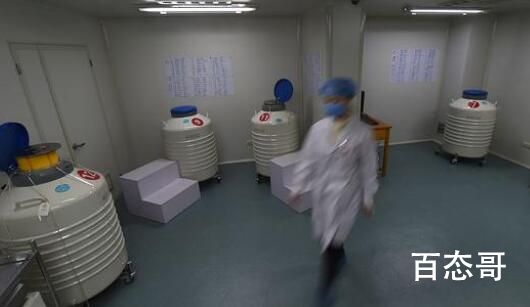 我国未婚女性不能申请精子库  背后的真相让人始料未及