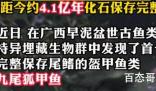 广西发现九尾狐甲鱼化石 有没有可能草鱼钻到了鲎的壳子里了 