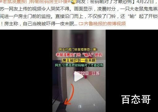 老鼠半夜按门铃输密码吓坏房主 还好这个老鼠不知道密码