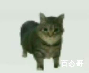 oiiaioooooiai是啥梗 oiiaioooooiai梗出自于哪里