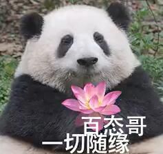 西瓜烂了是什么梗 西瓜烂了是啥意思