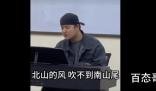 山茶花读不懂白玫瑰是什么歌里的歌词