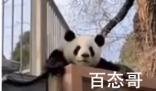 葡萄绿了是什么梗 葡萄绿了是啥意思