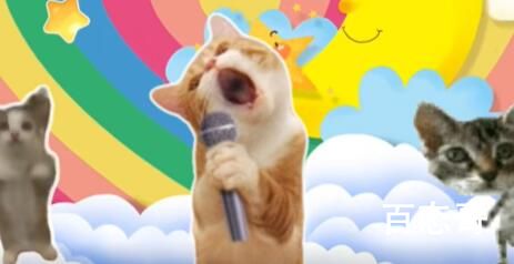 小猫happy happy happy是什么梗 小猫happy happy happy是啥意思