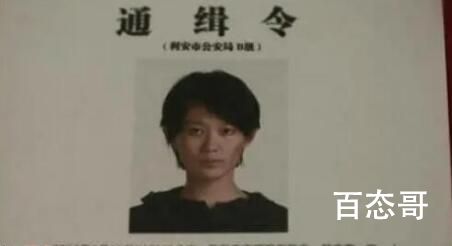 《外婆的新世界》廖向梅是怎么成为了通缉犯的 《外婆的新世界》外婆都去哪些地方