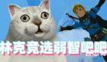 林克竞选弱智吧吧主是啥意思 林克竞选弱智吧吧主是什么梗