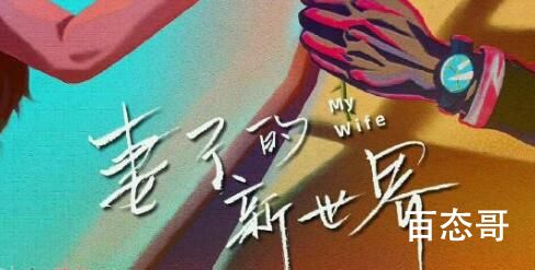 妻子的新世界一共有多少集