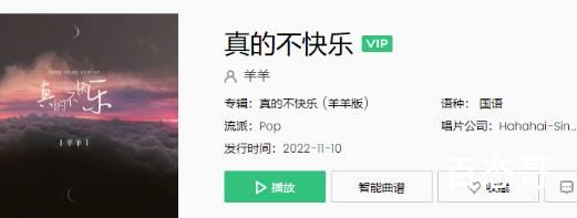 可是妈妈我好像没有避风港歌名是什么