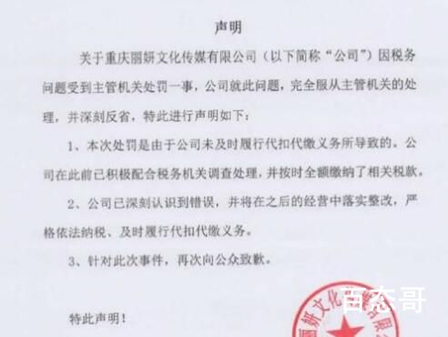 袁冰妍偷漏税被罚97万余元