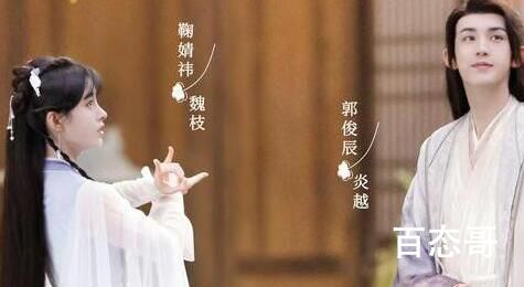 花戎里的男二也喜欢魏枝吗