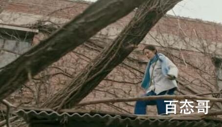 梦中的那片海人物关系介绍