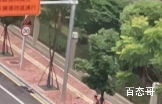 男子驾车连撞9人逃跑 目前已落网 这得毁了多少家庭啊！