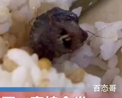 鼠头受害股出现 绝味鸭脖股价下跌 背后的真相让人始料未及