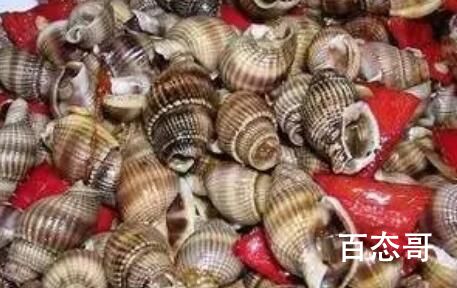 女子吃了两捧割香螺心跳骤停 背后的真相让人始料未及