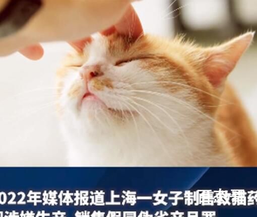 女高材生制售救猫药获刑15年 你以为有能力就可以为所欲为？