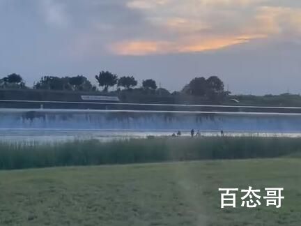 成都一草坪惊现上百条“蚊卷风” 此时应该需要一个电蚊拍！