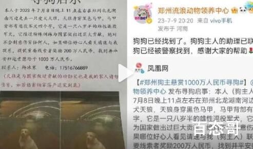 悬赏千万狗主人或涉传播虚假信息罪  要对你自己的行为负责