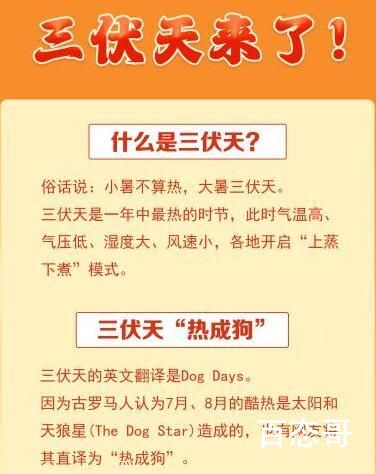 三伏天为啥是减肥的好时候 到底是怎么回事