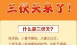 三伏天为啥是减肥的好时候 到底是怎么回事