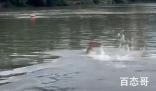46岁“中国蛙王”跳河救起落水者 到底是怎么回事