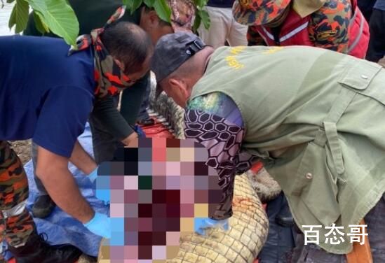 老人失踪4天在鳄鱼胃中发现遗骸 到底是怎么回事