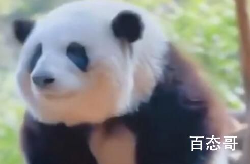 花花洗澡全国人民都知道了 背后的真相让人目瞪口呆