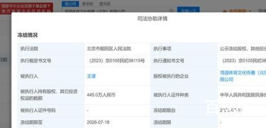 王濛所持445万股权被冻结 王濛不错千万别翻车了