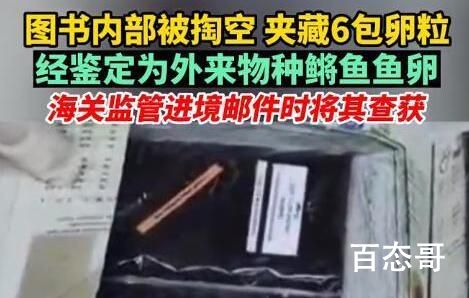 图书被掏空内藏鳉鱼鱼卵 到底是怎么回事