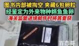 图书被掏空内藏鳉鱼鱼卵 到底是怎么回事