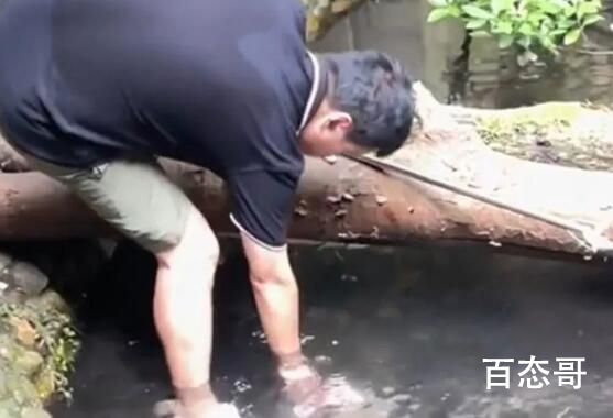 男子下鳄鱼池捞手机 动物园回应  背后的真相让人始料未及