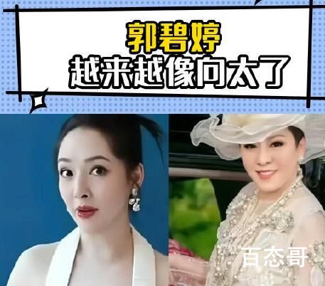 郭碧婷越来越像向太了 到底是怎么回事