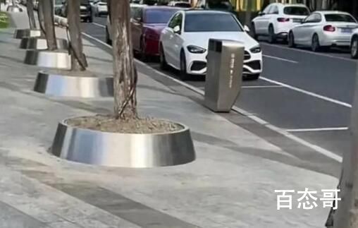 网友称杭州不锈钢树盆连夜被拆除 背后的真相让人始料未及