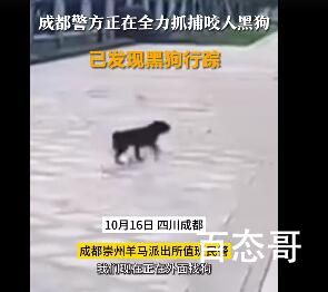 警方已发现咬伤女童的黑狗行踪 女孩母亲：将追究物业和犬主责任