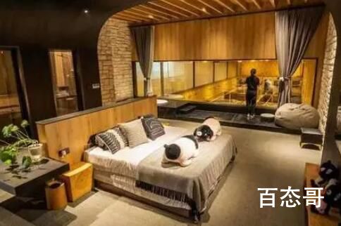 农场推一晚8888元“猪景房” 背后的真相让人始料未及