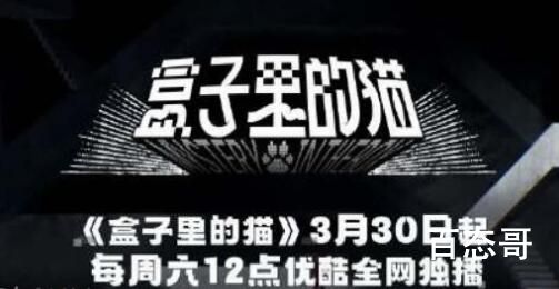 《盒子里的猫》导演是那个